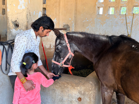 A Baisa’s Adventures-Shekhawati必去景点