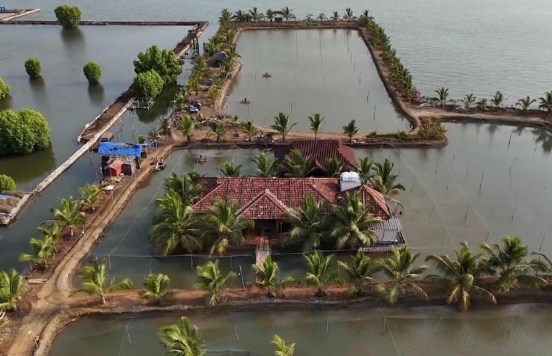 Kandal Theeram Farms