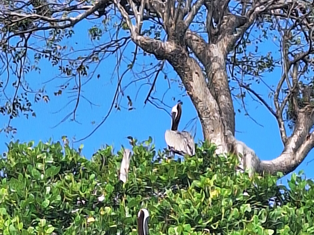 Arena Tours Excursiones-拉斯特拉纳斯必去景点