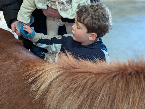 Farmer Teds Adventure Farm-Ormskirk必去景点