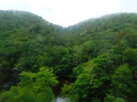 Lehigh Gorge Scenic Railway-吉姆索普必去景点