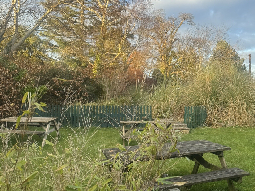 Conwy Water Gardens-Rowen必去景点