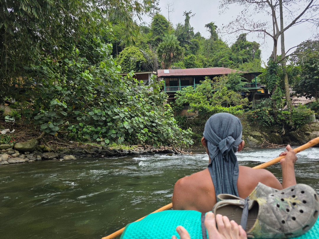 Orangutan Treking Camp-武吉拉旺必去景点