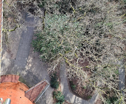 Bosbergtoren-Appelscha必去景点