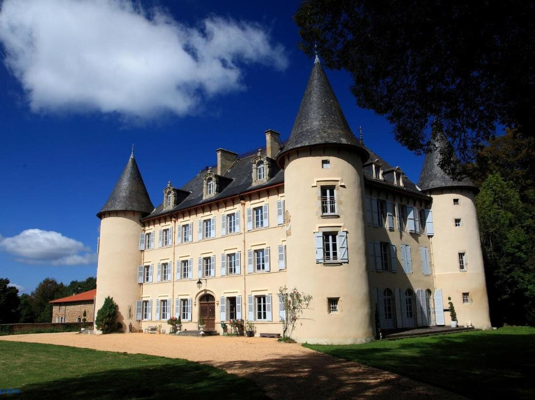 Chateau de la Reynerie