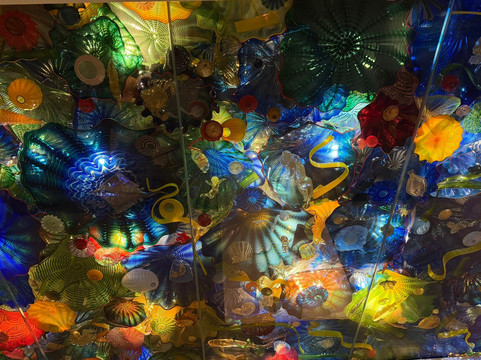 Norton Museum of Art-西棕榈滩必去景点