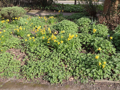 Lowndes Park, Chesham