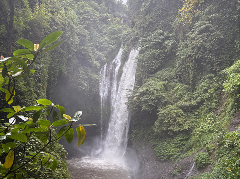 Info Lovina Taxi-罗威那海滩必去景点