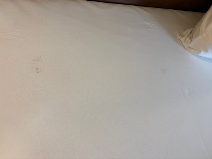 美因茨城际酒店-客卧