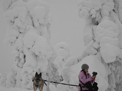 Lappi Creative-Kemijarvi必去景点