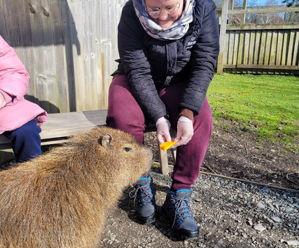 Wild Discovery-普雷斯顿必去景点