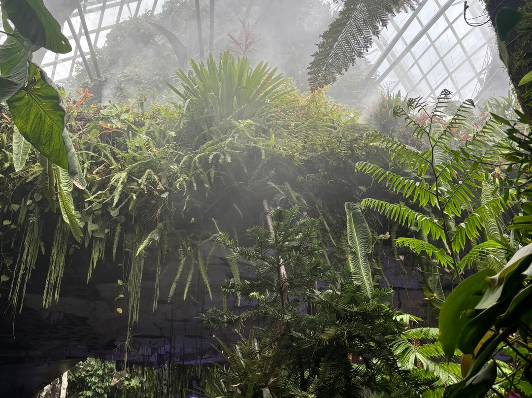 My Singapore Holiday-新加坡必去景点