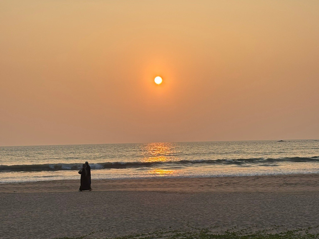 Wonder Sri Lanka Tours-卡图纳耶克必去景点