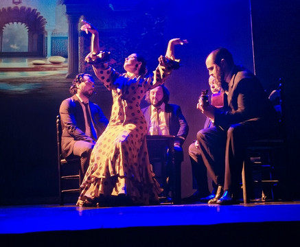 Teatro Flamenco Madrid-马德里必去景点