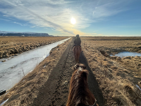 Eldhestar Volcano Horses-Olfus必去景点