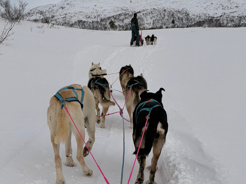 Haukeli Husky-Rauland必去景点
