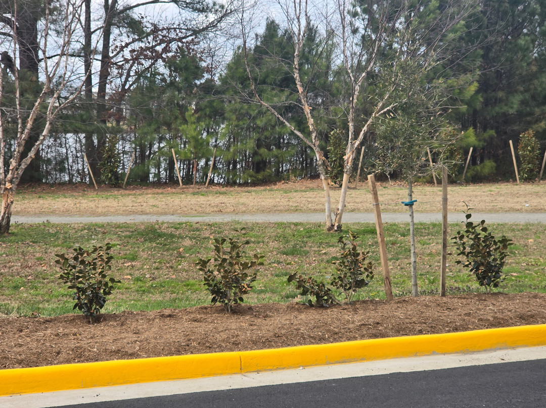 Staybridge Suites Norfolk Airport by IHG