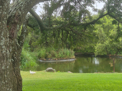 Kievits Kroon Gauteng Wine Estate主图