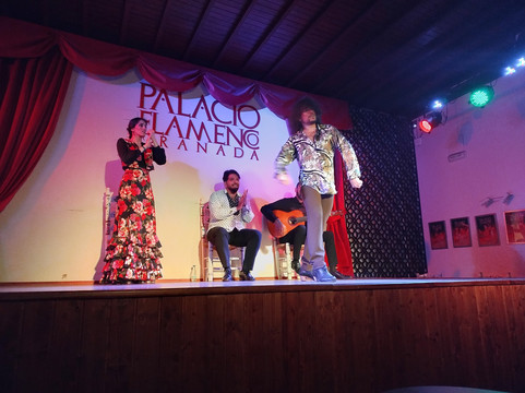 Palacio Flamenco Granada-格拉纳达必去景点