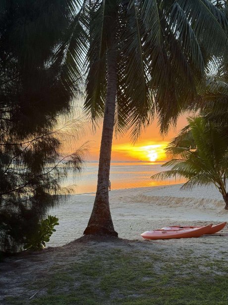 棕榈树丛度假村-官方