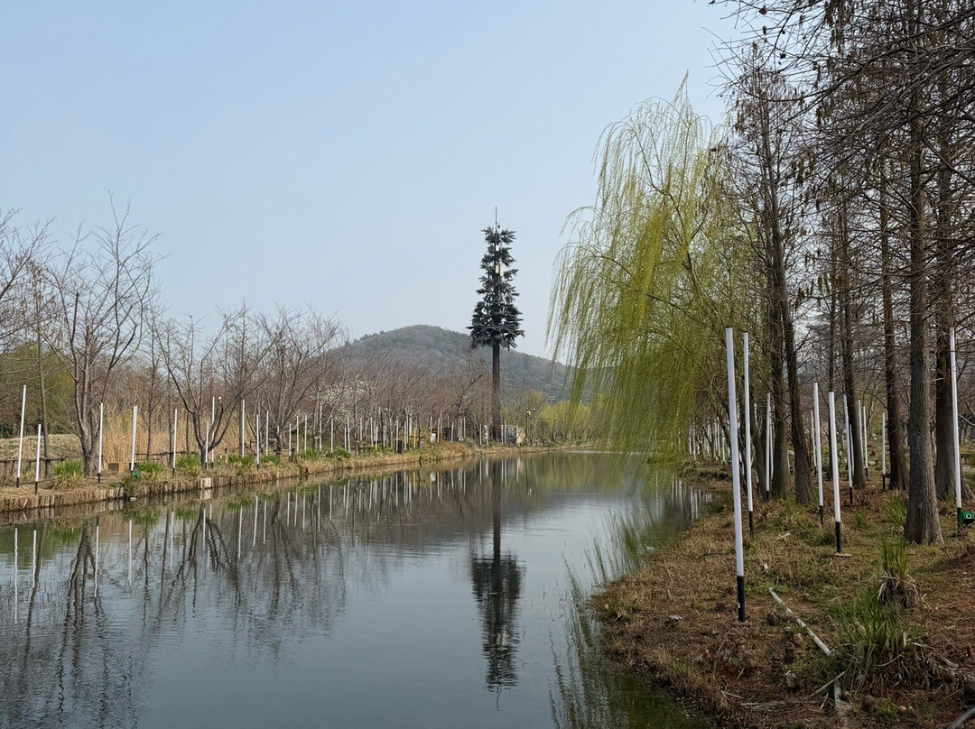 拈花湾-无锡市必去景点