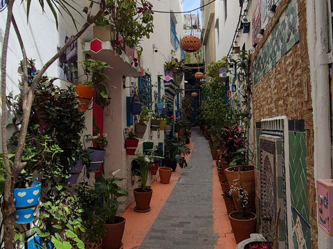 Atlas Experience-瓦尔扎扎特必去景点