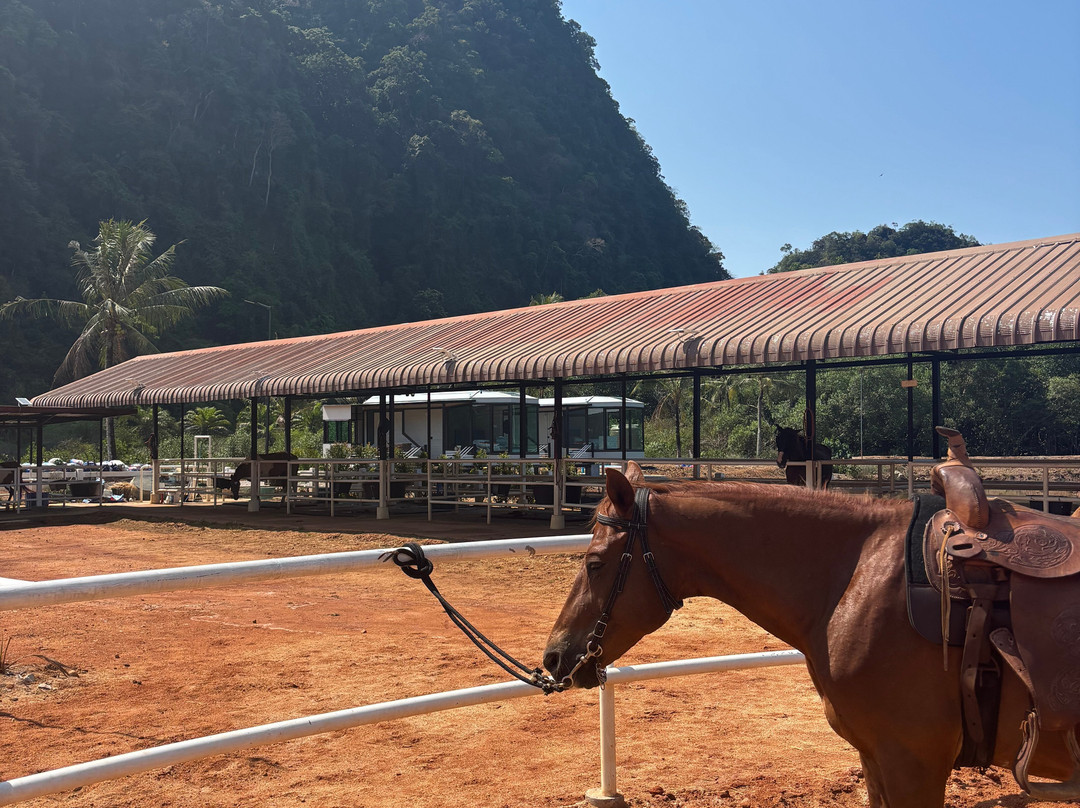Crazy Horse Bar Krabi-Khao Thong必去景点