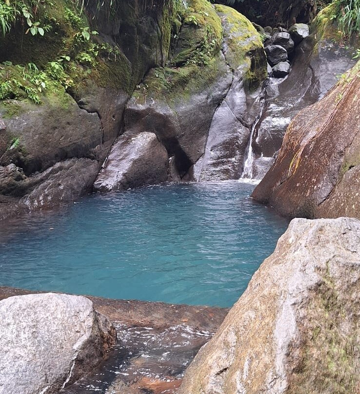 Cascades du Bassin Bleu-Gourbeyre必去景点
