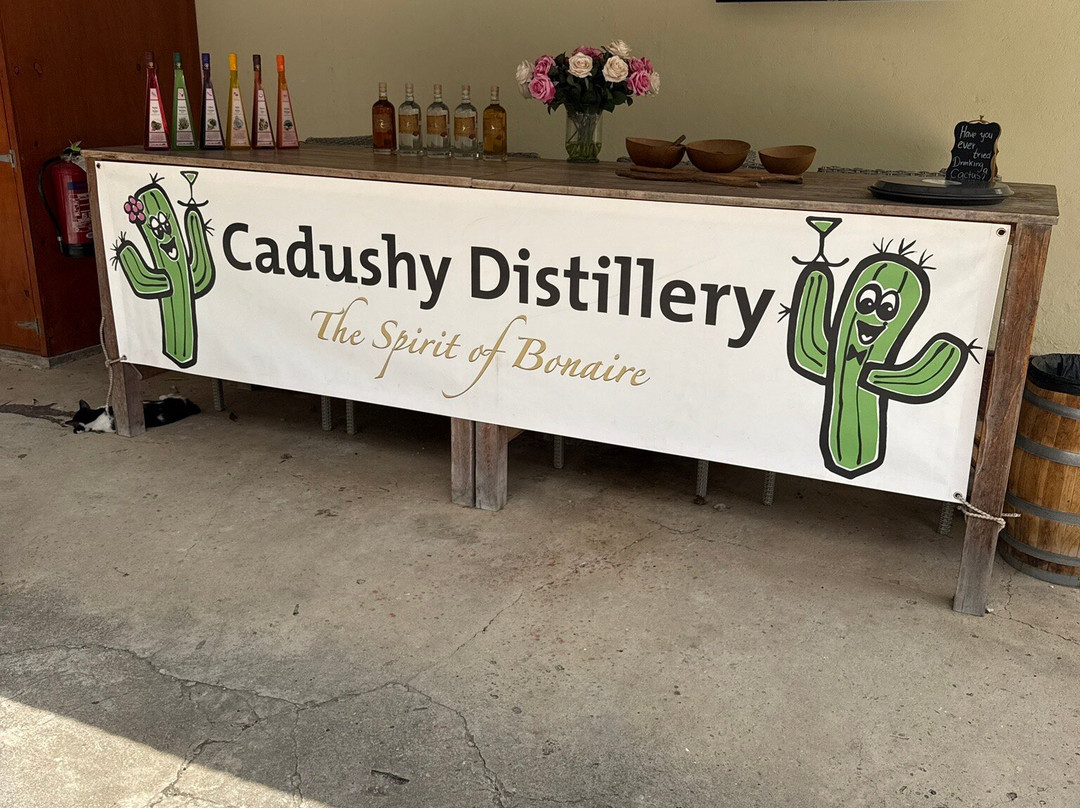 The Cadushy Distillery-Rincon必去景点