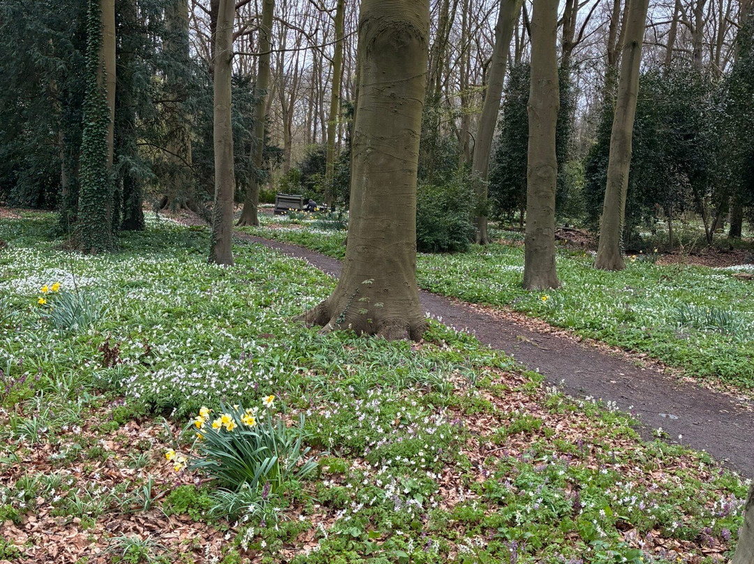 Leidse Hout Park-莱顿必去景点