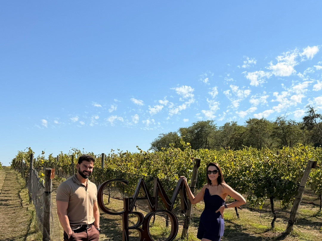 Gamboa - Viñas & Bodega-Campana必去景点