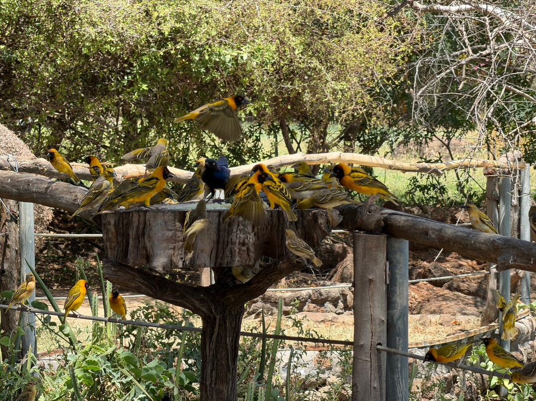 Lake Baringo-Baringo District必去景点