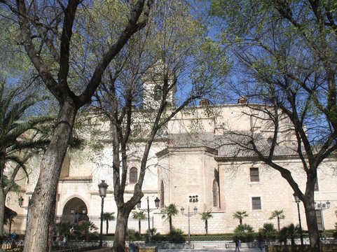 Santa Maria de Prado Cathedral-雷阿尔城必去景点