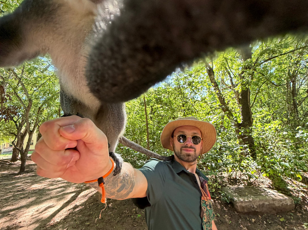 Vivi Il Kenya Con Sorriso-瓦塔木必去景点