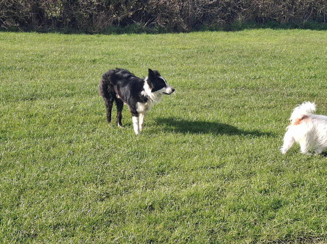 Greystones Farm-水上伯顿必去景点