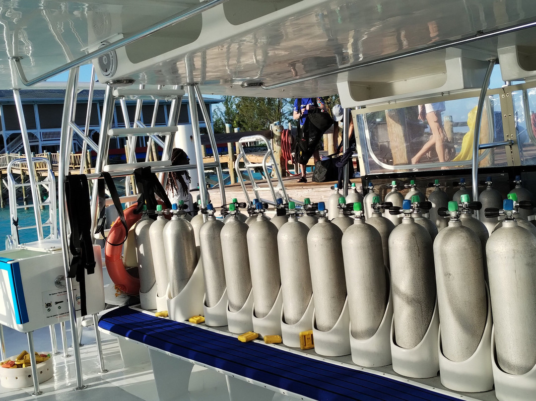 Only Blue Diving Dreams-Cockburn Town必去景点