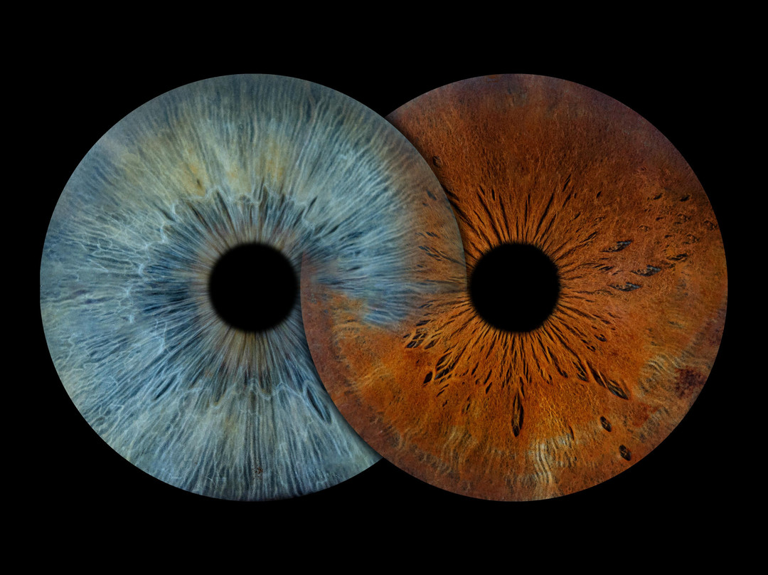 Iris Galerie Maastricht