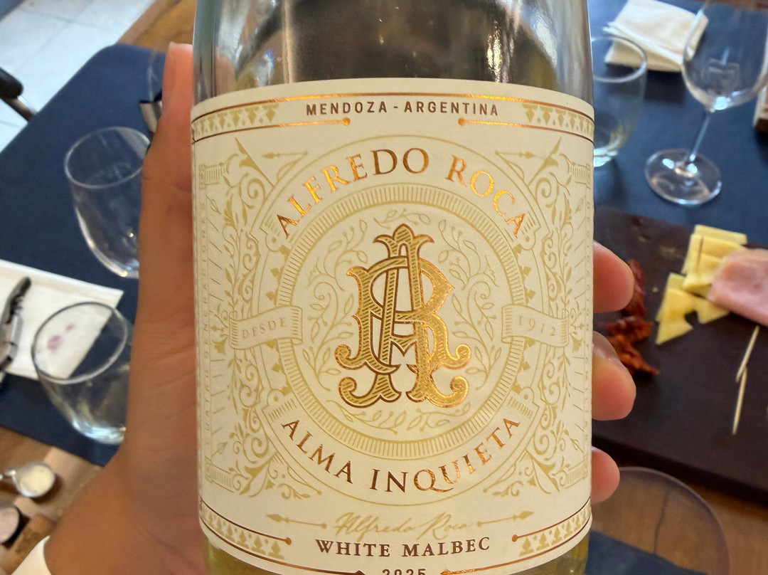 Bodega Alfredo Roca-圣拉斐尔必去景点