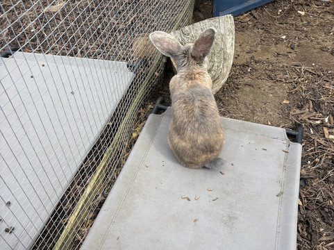 Thrift Farm-Whaddon必去景点