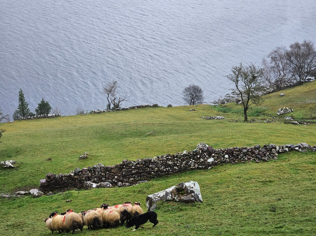 Killary Sheep Farm-Leenane必去景点
