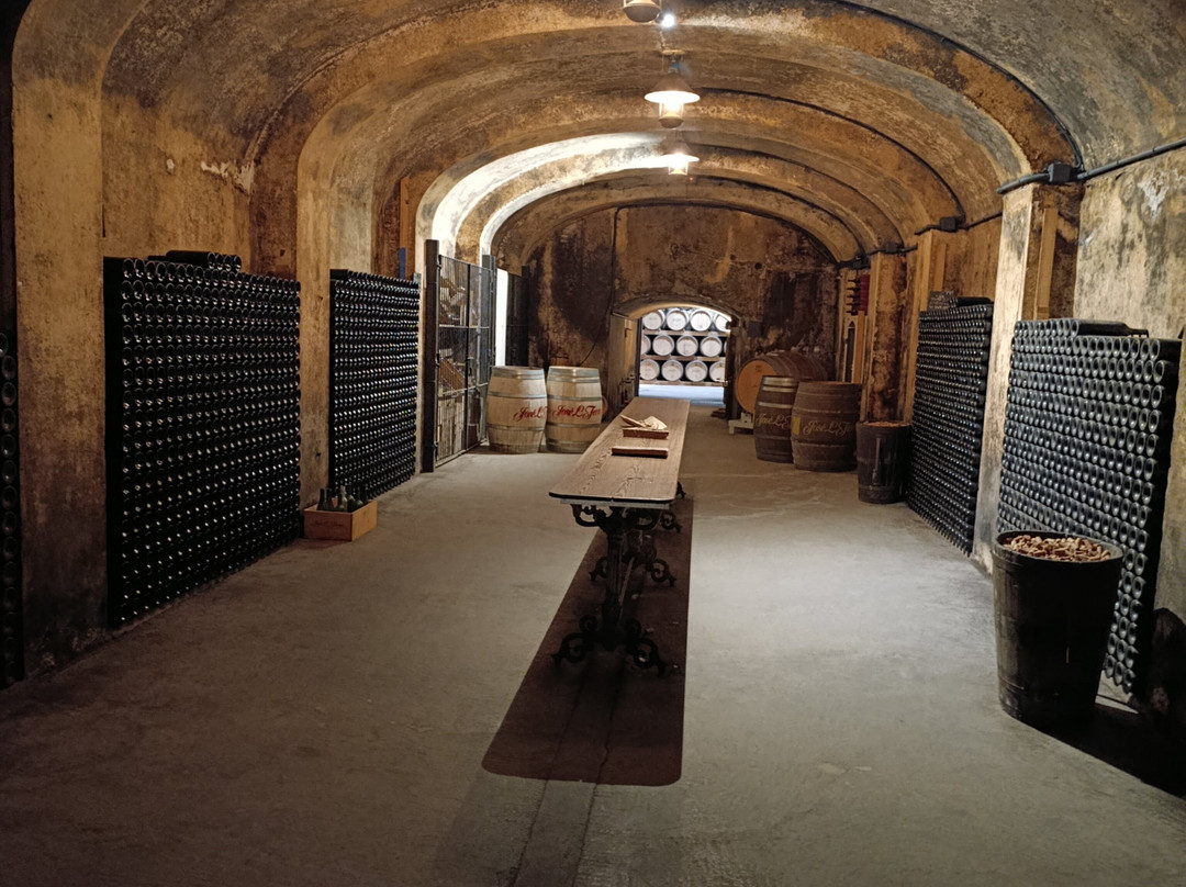 Bodegas Jose L Ferrer-Binissalem必去景点