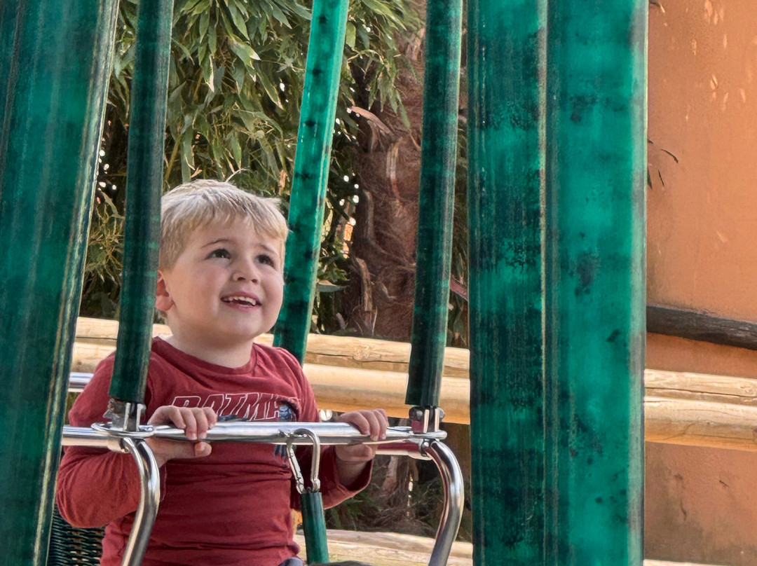 Jungle City-图尔奈必去景点