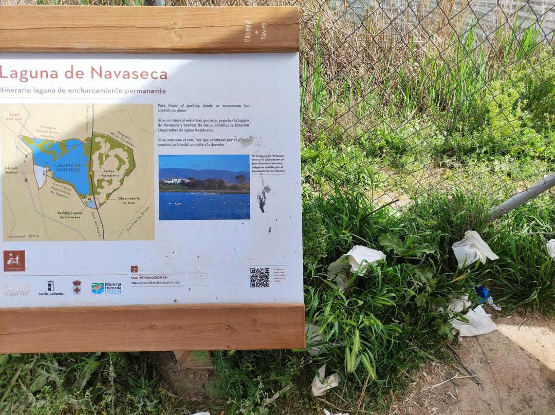 Laguna Navaseca-Daimiel必去景点