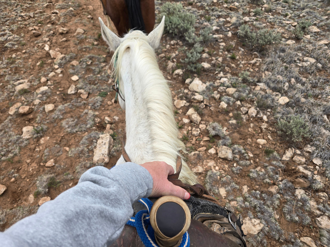 Grand Canyon Trail Rides-图萨扬必去景点