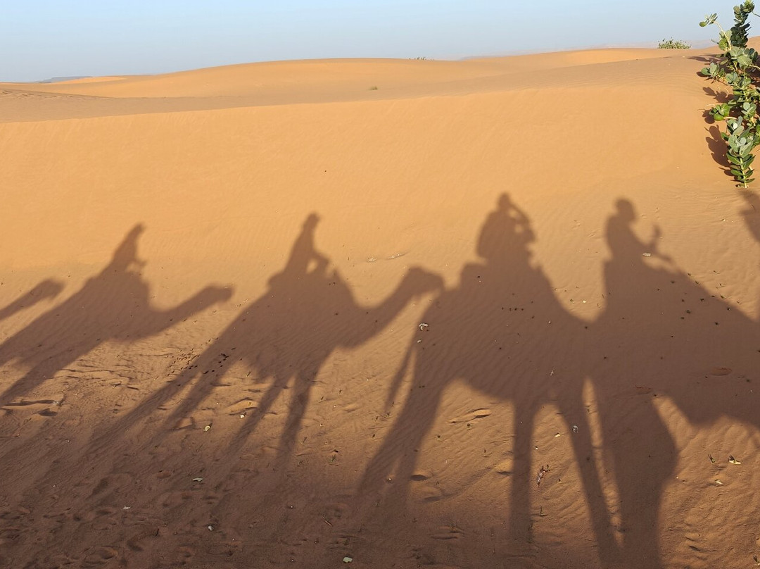 Desert Morocco Tours-卡萨布兰卡必去景点