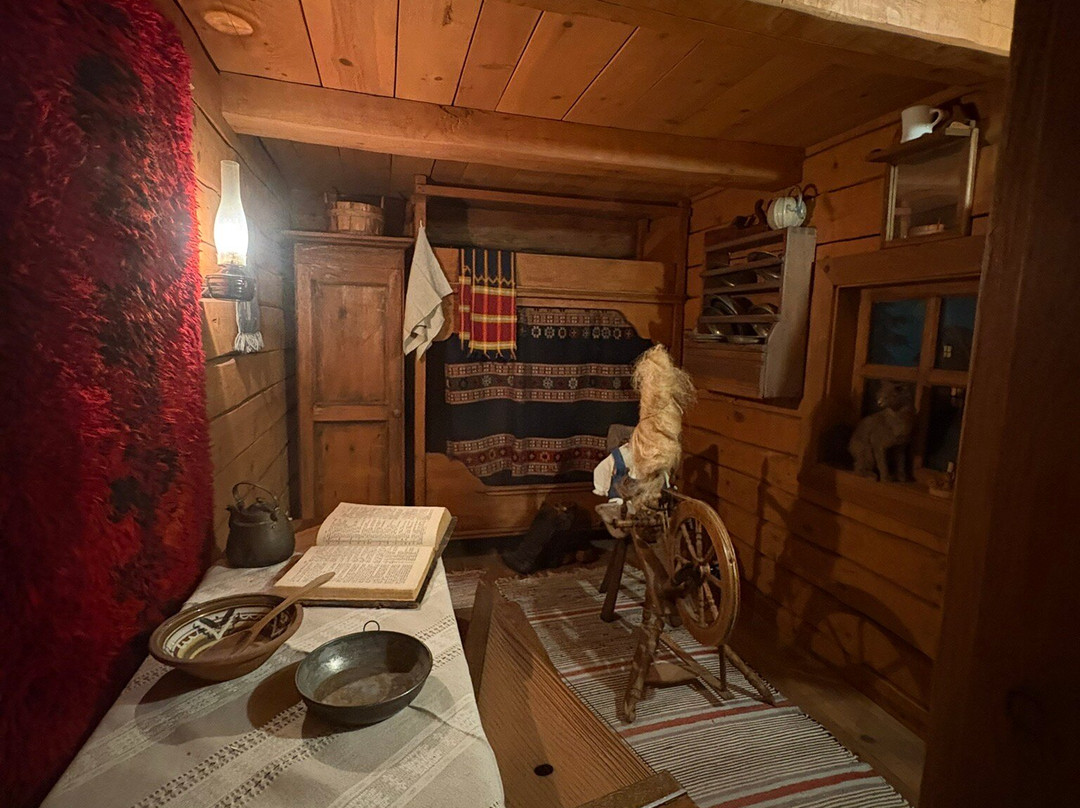 Milwaukee Public Museum-密尔沃基必去景点