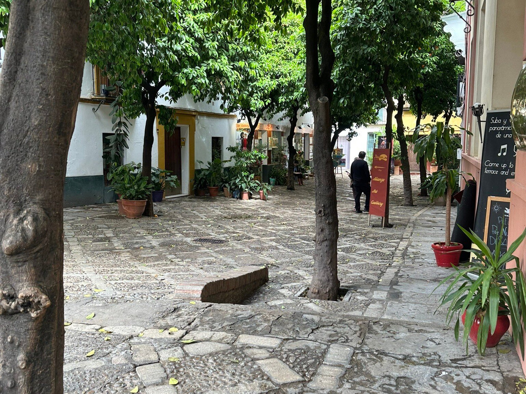 Free Tour Seville | Guruwalk-塞维利亚必去景点