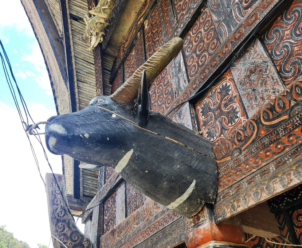 Toraja local guide-Tana Toraja必去景点