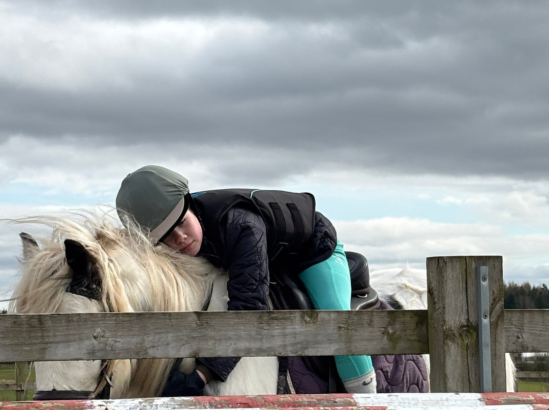 Charnwood Forest Alpacas-Boundary必去景点