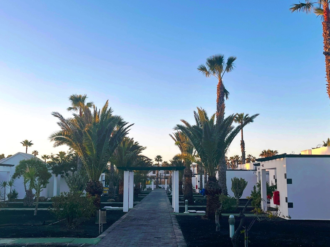 Relaxia Lanzasur - 全包主图